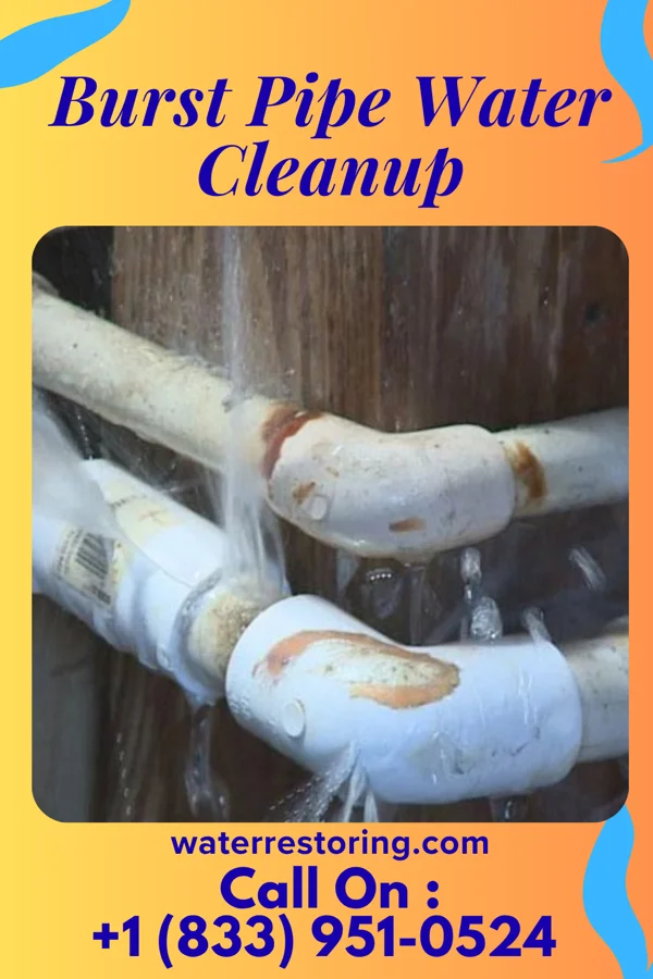Burst Pipe Water Cleanup in Brimson, MO